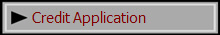  Credit Application